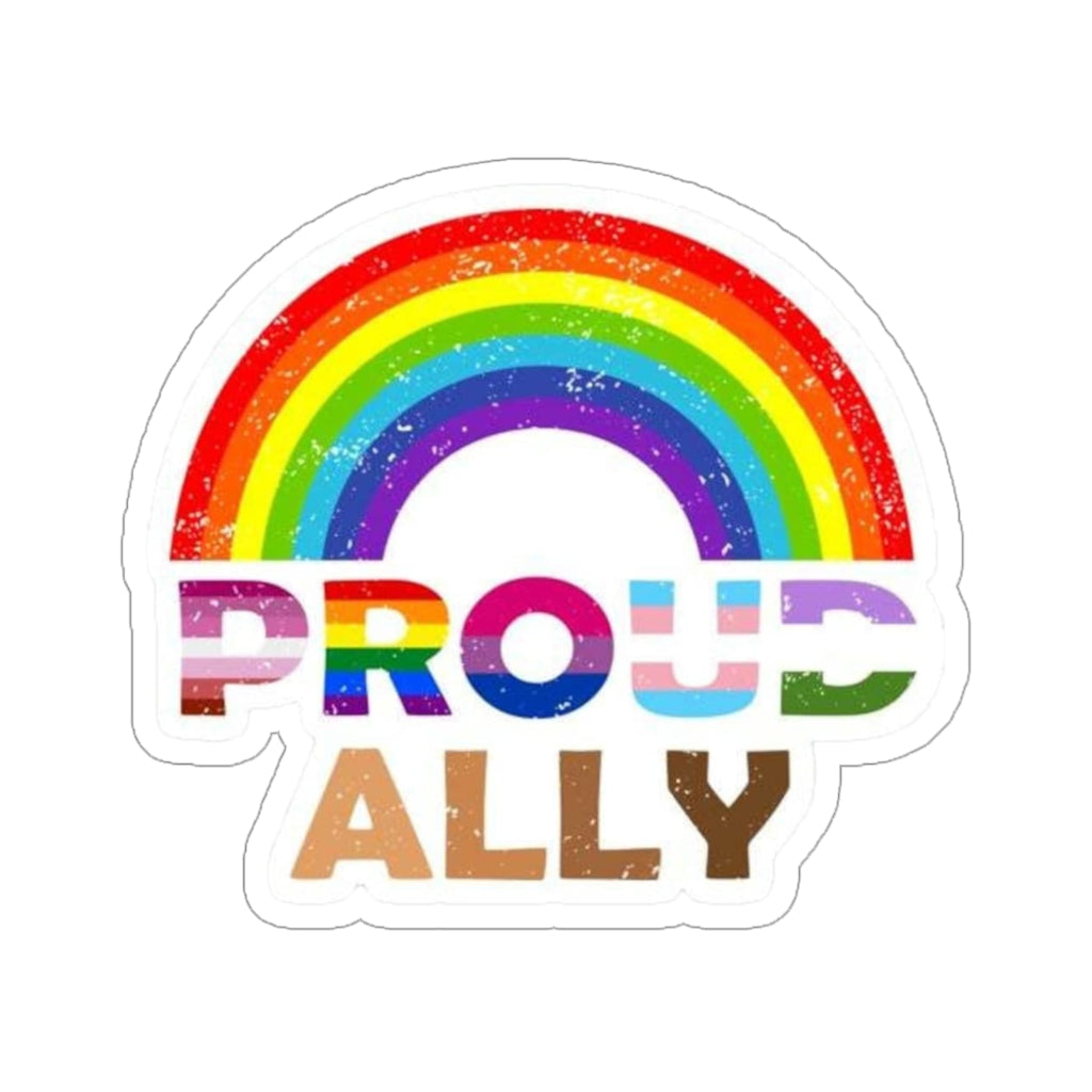 Straight Ally Pride Flag Vinyl Sticker (Waterproof) Rainbow and Black and White Stripes Flag