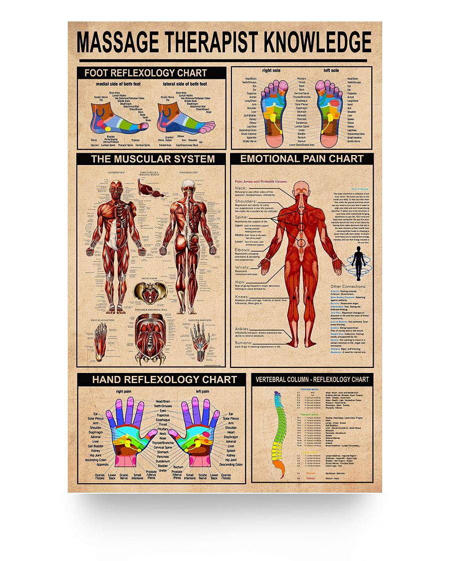 Gifts Poster Massage Therapist Knowledge Foot Reflexology Chart The Muscular System Art Print Family Friend Gift Unisex, Wedding, Anniversary, Awesome Birthday Perfect Happy Birthday Decor Bedroom 24x36 Poster